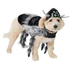 Frisco Spider Dog & Cat Costume