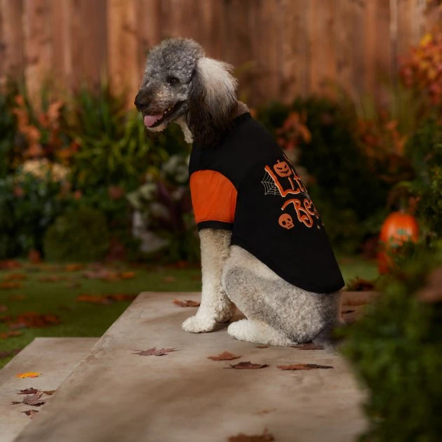 Frisco Little Beast Dog & Cat T-Shirt 7 Frisco Little Beast Dog & Cat T-Shirt - Image 5