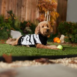 Frisco Mummy Dog & Cat Sweater -FRISCO Sales 335029 PT7. SY630 V1657722650