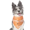Frisco Orange Spiderweb Dog & Cat Costume Bandana 1 Frisco Orange Spiderweb Dog & Cat Costume Bandana -FRISCO Sales 335045 MAIN. SY630 V1658716393