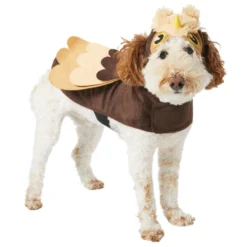 Frisco Owl Dog & Cat Costume