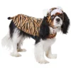 Frisco Tiger Dog & Cat Costume