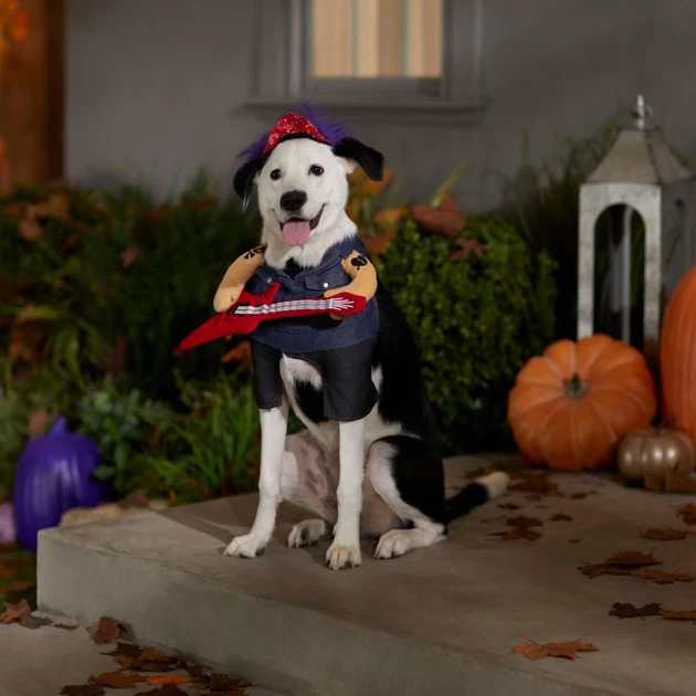 Frisco Punk Rocker Dog & Cat Costume 9 Frisco Punk Rocker Dog & Cat Costume - Image 7