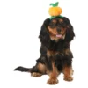 Frisco Pumpkin Headband Dog & Cat Costume Accessory 1 Frisco Pumpkin Headband Dog & Cat Costume Accessory -FRISCO Sales 335090 MAIN. SY630 V1658349060