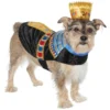 Frisco Royal Pharoah Dog & Cat Costume 1 Frisco Royal Pharoah Dog & Cat Costume -FRISCO Sales 335113 MAIN. SY630 V1659027521