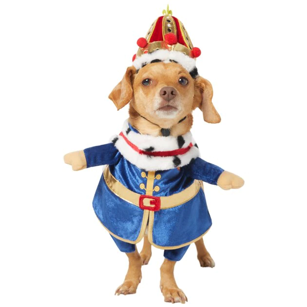 Frisco Front Walking Royal King Dog & Cat Costume 3 Frisco Front Walking Royal King Dog & Cat Costume