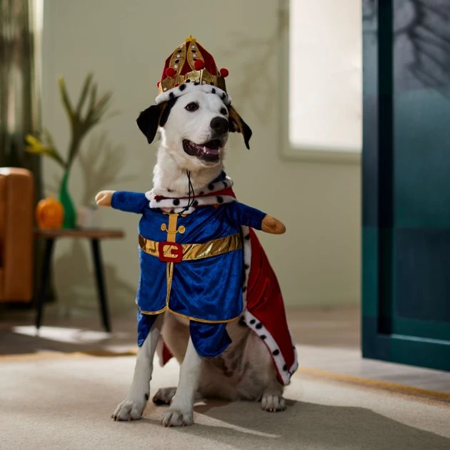 Frisco Front Walking Royal King Dog & Cat Costume 9 Frisco Front Walking Royal King Dog & Cat Costume - Image 7