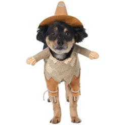 Frisco Front Walking Scarecrow Dog & Cat Costume