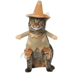 Frisco Front Walking Scarecrow Dog & Cat Costume -FRISCO Sales 335133 PT2. SY630 V1658348508