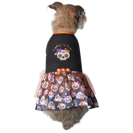 Frisco Sweet & Spooky Ruffle Skull Dog & Cat Dress -FRISCO Sales 335161 MAIN. SY630 V1658343134