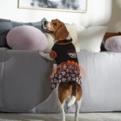 Frisco Sweet & Spooky Ruffle Skull Dog & Cat Dress -FRISCO Sales 335161 PT7. SY630 V1657656882