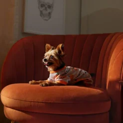 Frisco Spooky Printed Dog & Cat Jersey PJs -FRISCO Sales 335170 PT7. SY630 V1657730462