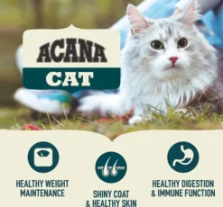 ACANA||Frisco ACANA First Feast Kitten Dry Cat Food + Frisco Multi-Cat Unscented Clumping Clay Litter -FRISCO Sales 338643 PT4. SY630 V1635899904