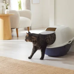 Frisco Modern Hooded Cat Litter Box