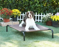 Frisco Steel-Framed Elevated Dog Bed